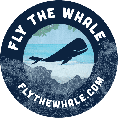 Scheduled Service for Fly The Whale Reservations