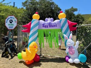 The entrance to the Paws to Play dog park was transformed into a whimsical gateway to a world of hidden treasures. (Source photo by Nyomi Gumbs)