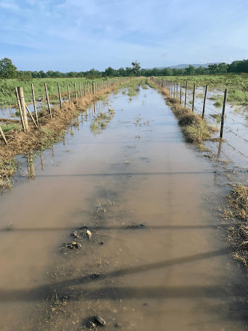USVI and Puerto Rico Remain Drought Free; Trend Expected To Continue Through End of Year