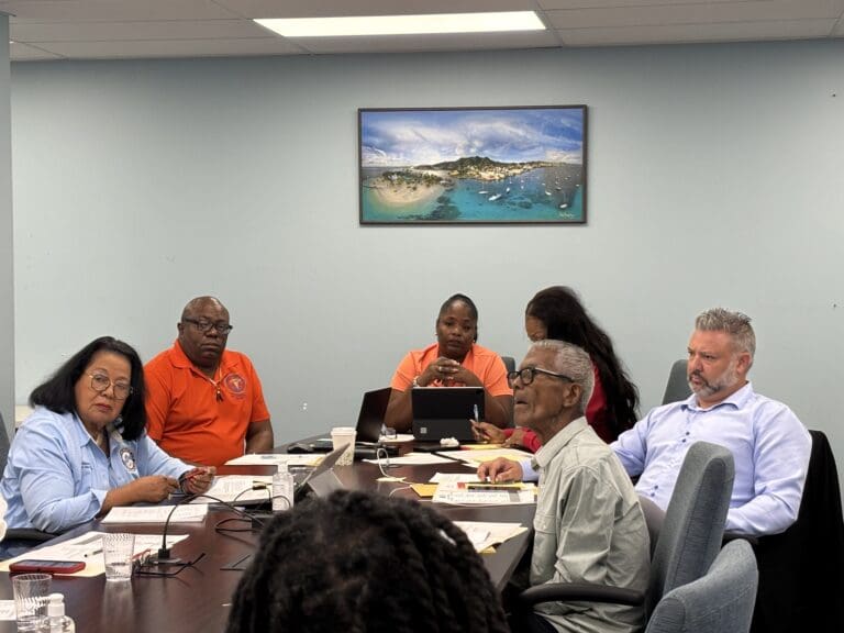 New Leadership Takes Shape at V.I. Elections Board