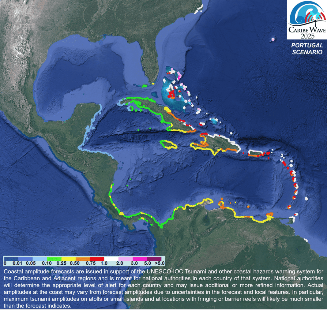 Tsunami warning usvi