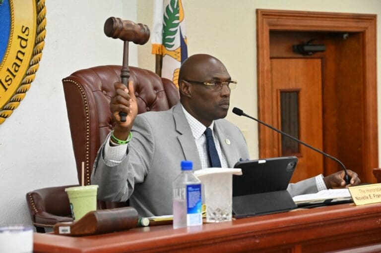 VIEDA Proposes $7.3M Budget To Accelerate Investment, Job Creation, and Economic Growth