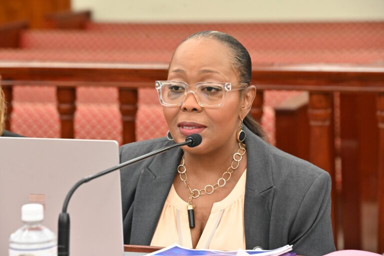 Tourism Department Seeks $39M Budget Amid Vendor Payment Delays, Rising Travel Demand