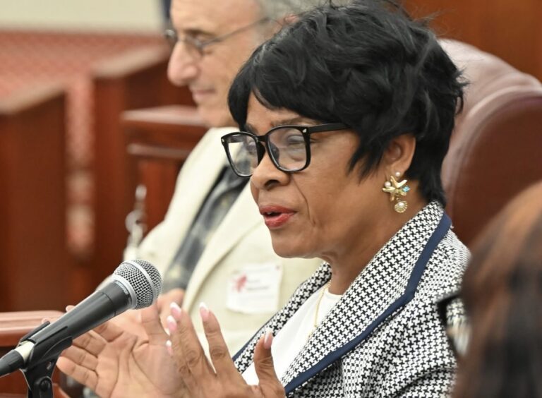 Senators Reject Permit Revival for Summer’s End Marina