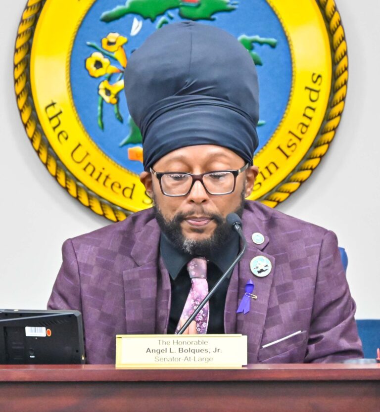 Lawmakers Hear Testimony on Youth Violence, Education, and Workforce Challenges Across the Virgin Islands