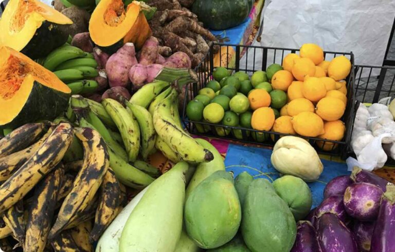 Local Food and Farm Council Expands Access to Free Grant Workshops