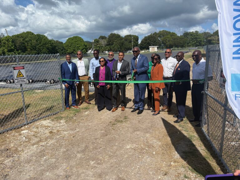 RTPark and UVI Celebrate Completion of Solar Project to Support Education and Resilience