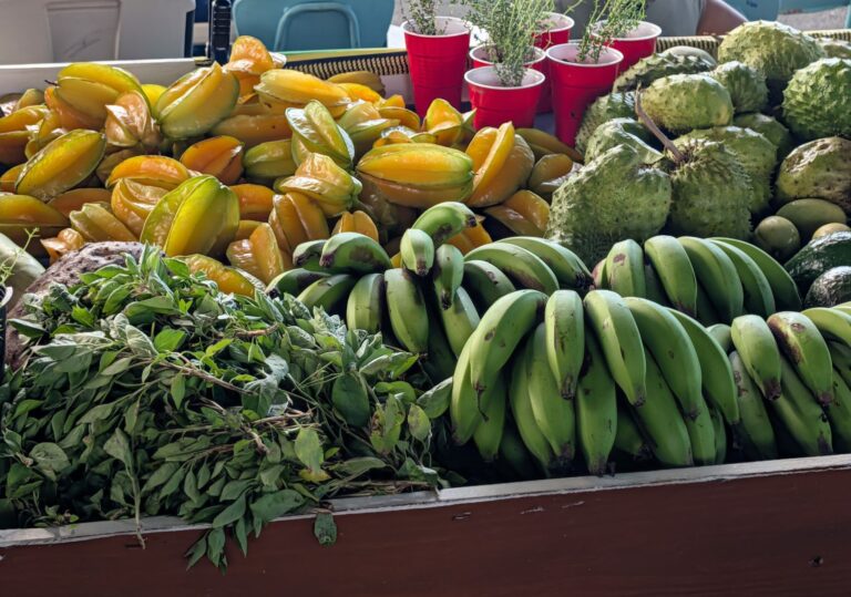 St. Thomas–St. John Agriculture Fair Spotlights Food Security, Need for Young Farmers