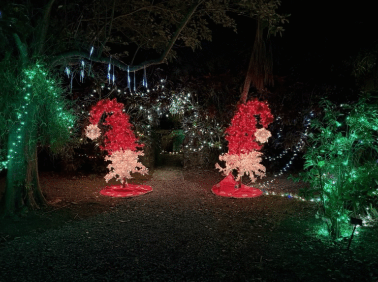Bright Twinkling Lights Bring Holiday Spirit to St. George Village Botanical Garden