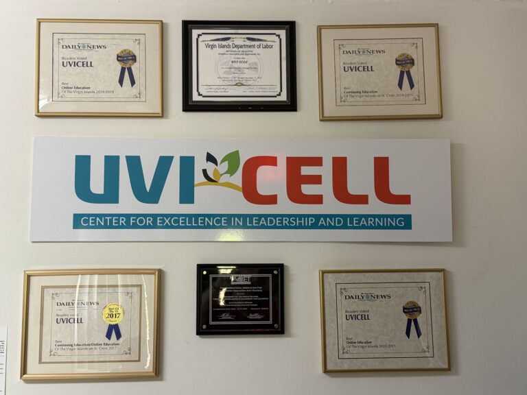 Building Opportunity at Home: UVI CELL Program Targets Youth Entrepreneurship