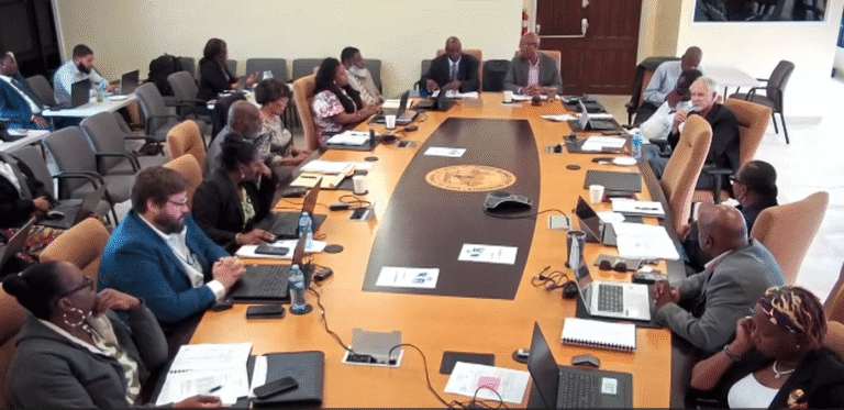 The V.I. Port Authority board during its monthly meeting Wednesday. (Zoom meeting screenshot)