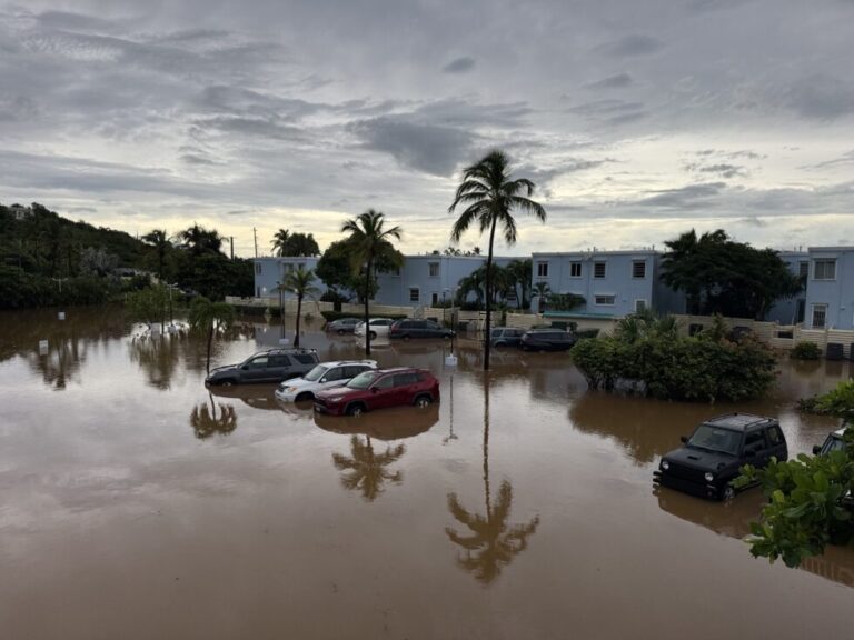 Stormwater Mitigation Program Focuses on Education, Runoff Solutions