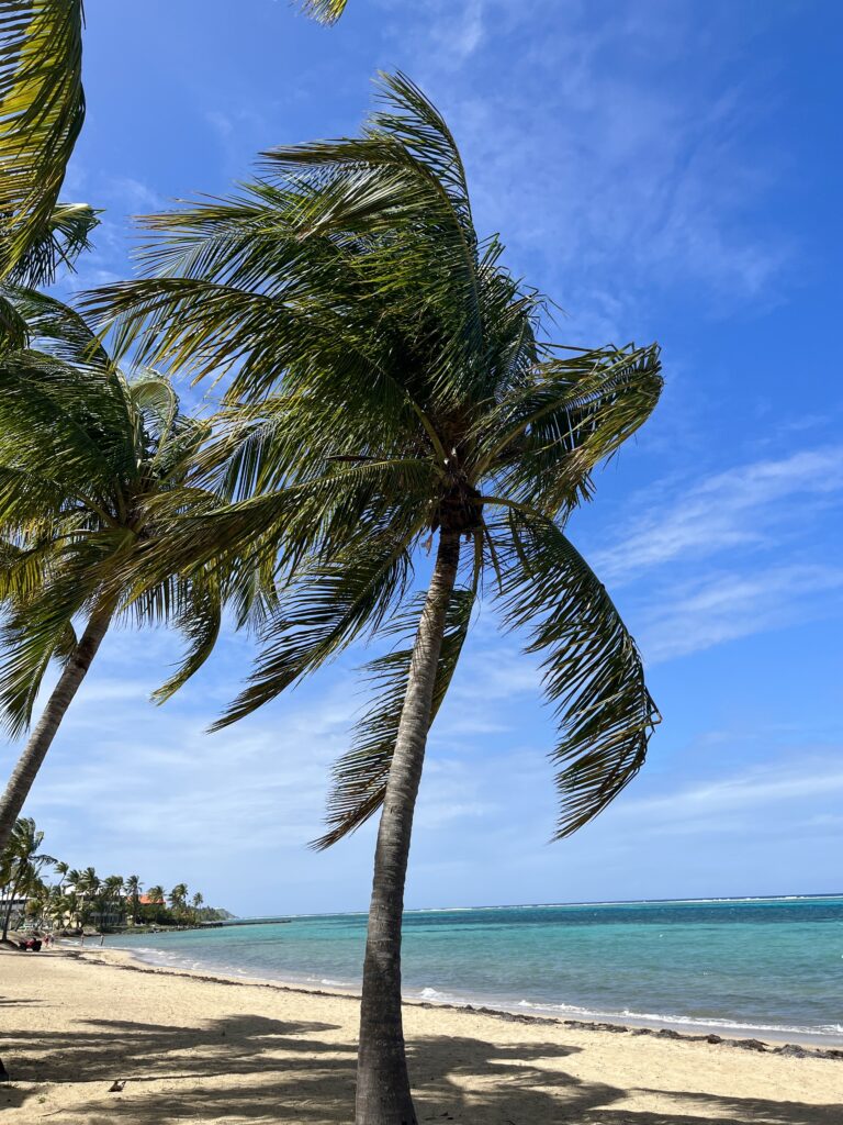 Gusty Winds, Choppy Seas Expected to Persist Across USVI and Puerto Rico