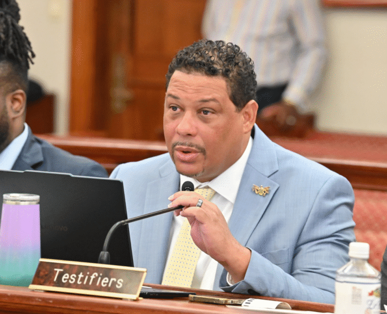 Senate Committee Advances Air Curtain Incinerator Bill With Safeguards