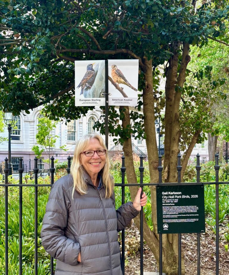 VI Source Writer Gail Karlsson Highlights New York City Birds In City Hall Park Show