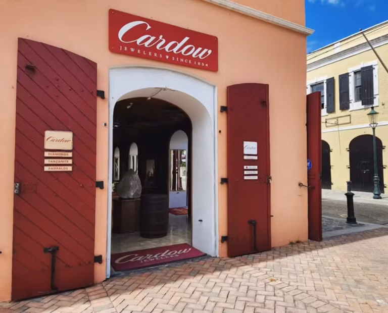 Cardow Rum Room to Host Carnival Kickoff Art Pop-Up Featuring Local Artists