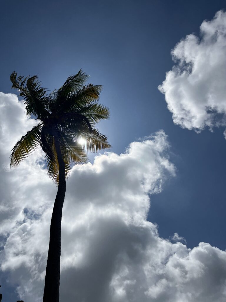 Above-Average Temperatures Expected This Week With Passing Showers and Moderate Rip Current Risks