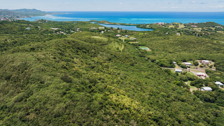 Lowry Hill Site on St. Croix Added to Territorial Parks Portfolio