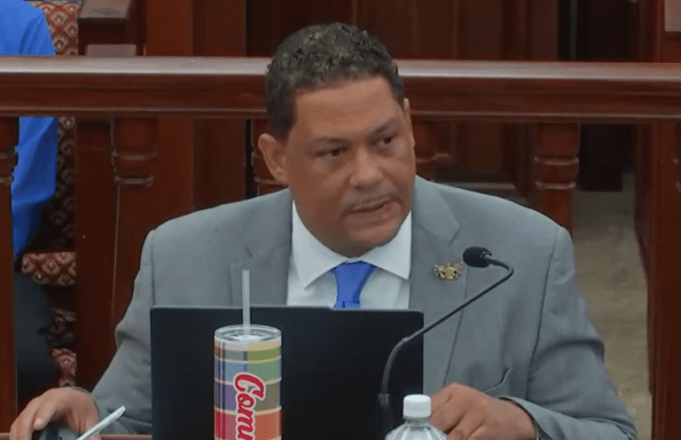 Budget Committee Hears DPNR Budget Request, Examines Libraries, Permitting, Staffing