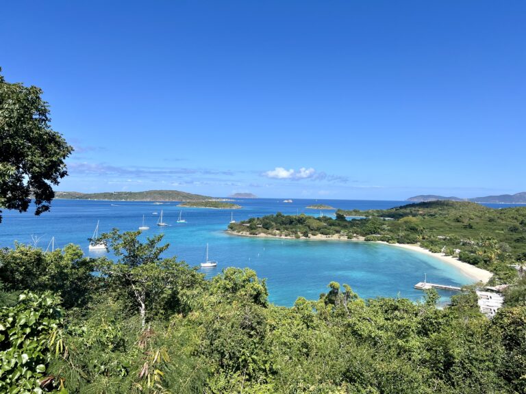 Reporter’s Notebook Part 2: Commercialization Trumps Conservation Under New Plan for Caneel Bay’s Development