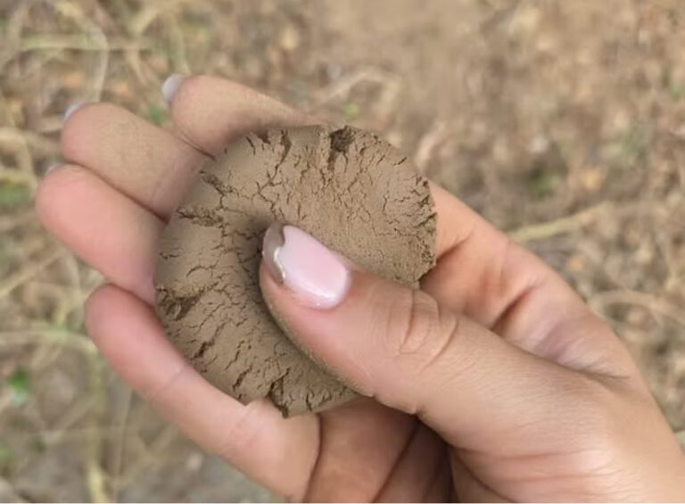 ‘Our Soil, Beyond Materiality’: A Collective Art Exhibit That Recognizes a Sacred Dimension in the Ground Beneath Our Feet