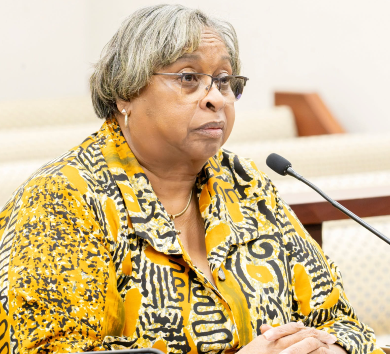 Budget Committee Hears Legal Services of the Virgin Islands’ FY 2027 Funding Request Amid Delayed Allotments